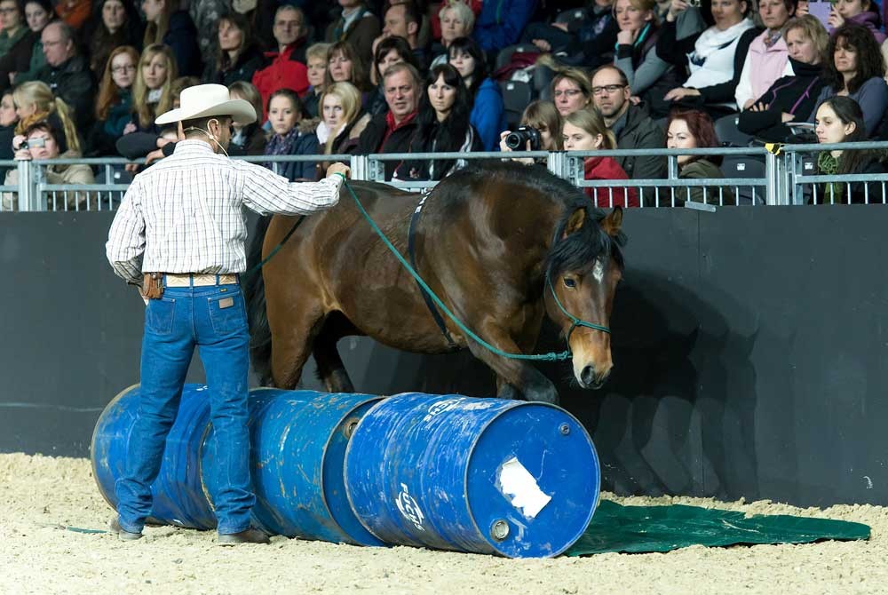 Horsemanship